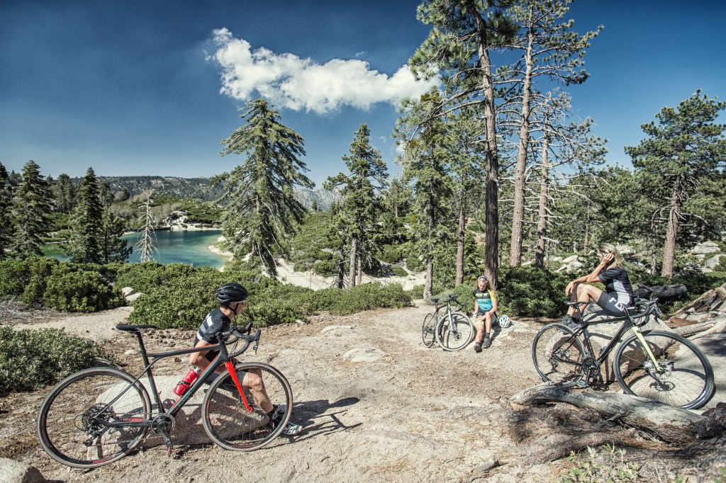 gt grade al expert 2019